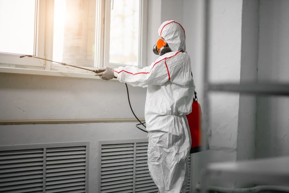 Professional mold remediation services in Ledbetter, TX